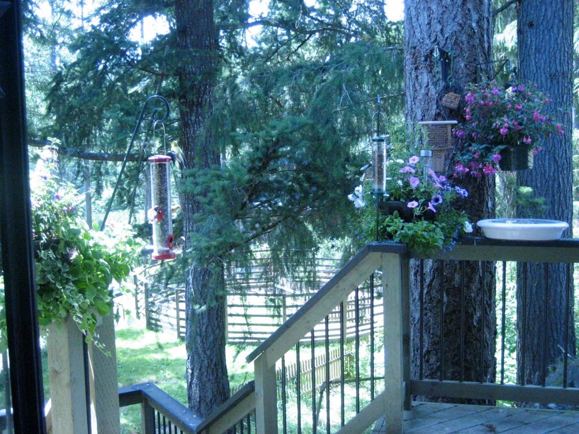 Misty Meadows B&B Langford Exteriör bild