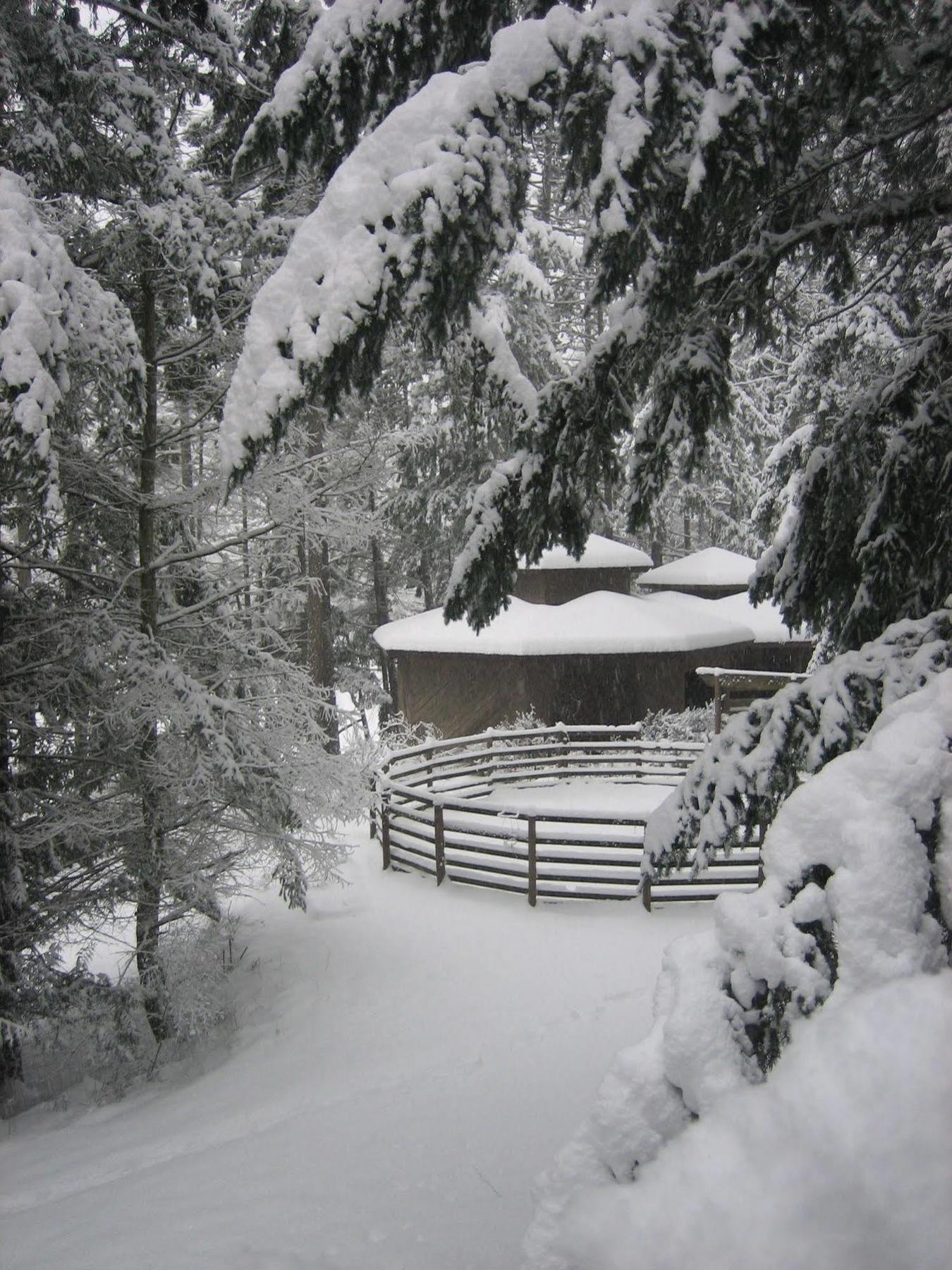 Misty Meadows B&B Langford Exteriör bild
